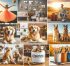What Are the Best Dog Charities? Top Organizations Ranked